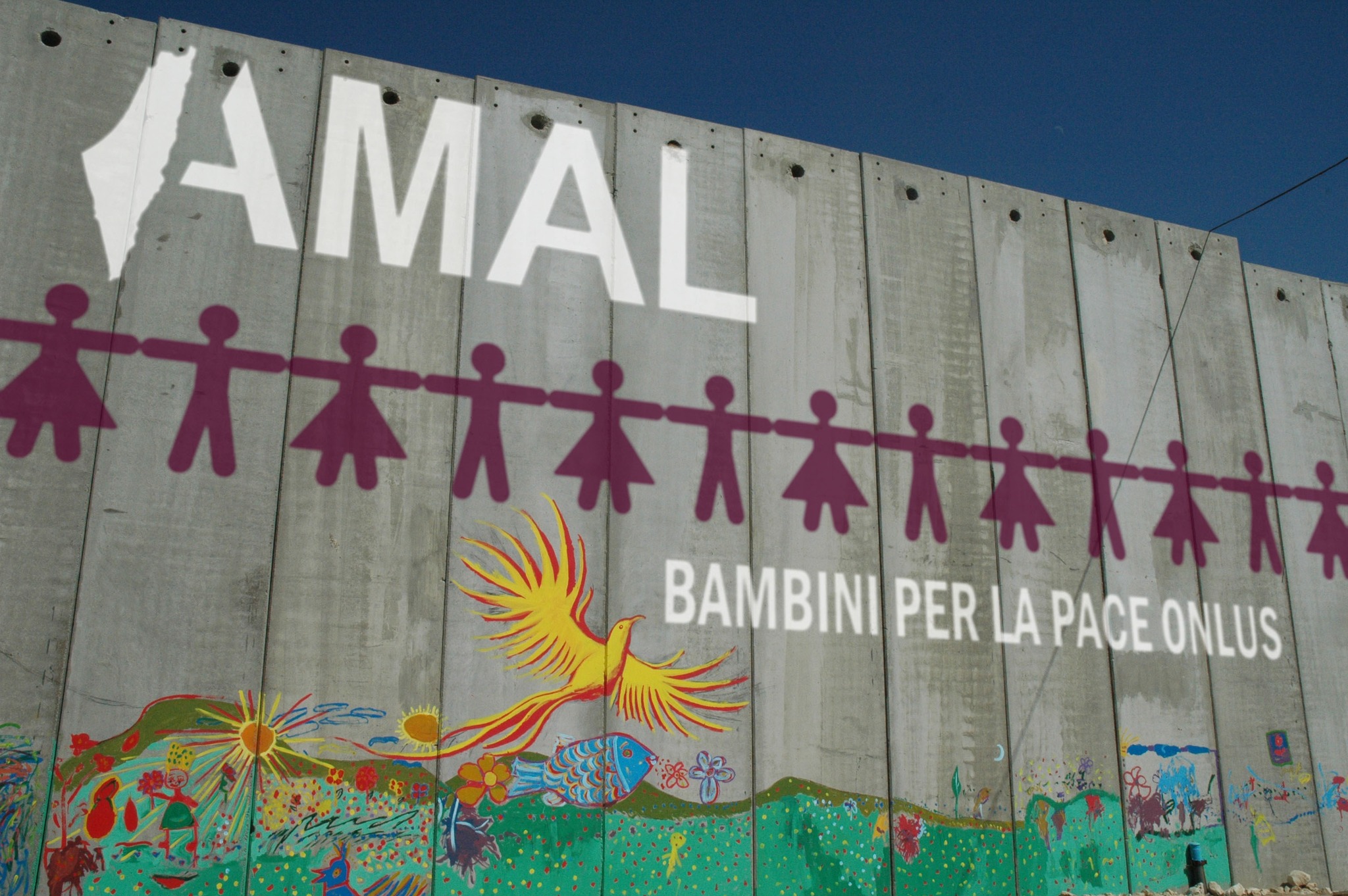 304789544 5304493299648052 328806269397862694 N