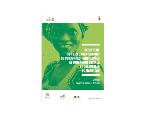 Copertina Ricerca Sulle Organizzazioni Di Persone Disabili